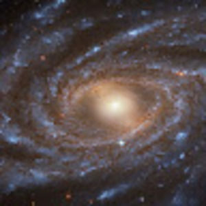 Meet your Posher, Jayna